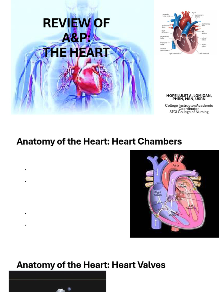 Anatomy and Physiology of the Heart | PDF | Heart | Heart Valve