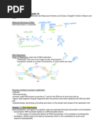 Gene Expression Simulation Lab Guide | PDF | Messenger Rna | Gene