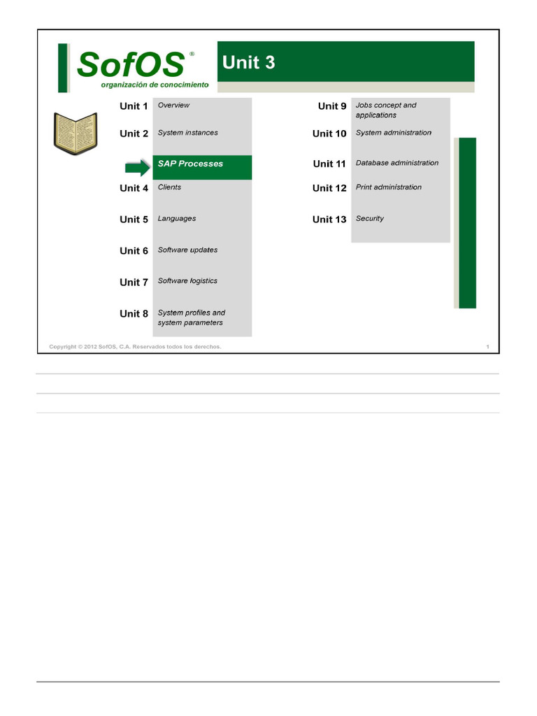 03 - SAP Processes | PDF | Computer Science | Computer Engineering