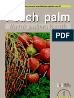 Promoting the Conservation and Use of Under Utilized and Neglected Crops. 20 - Peach Palm