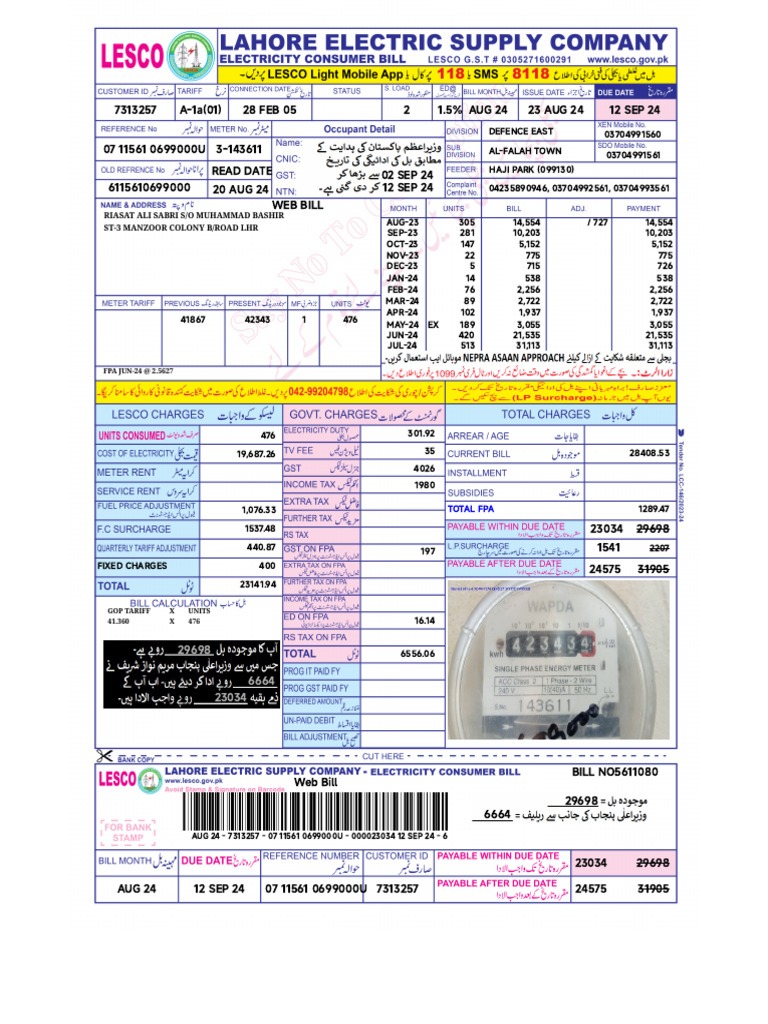 LESCO WEB BILL visual data 3