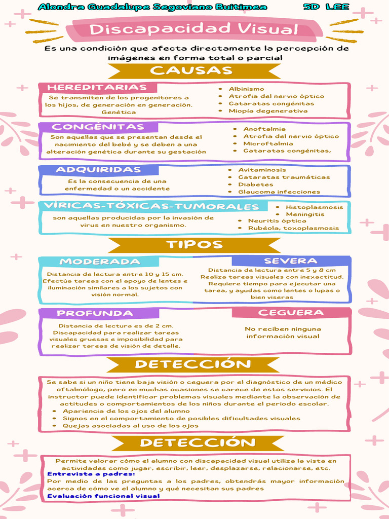 Causas y Tipos de Discapacidad Visual | PDF | Percepción visual ...