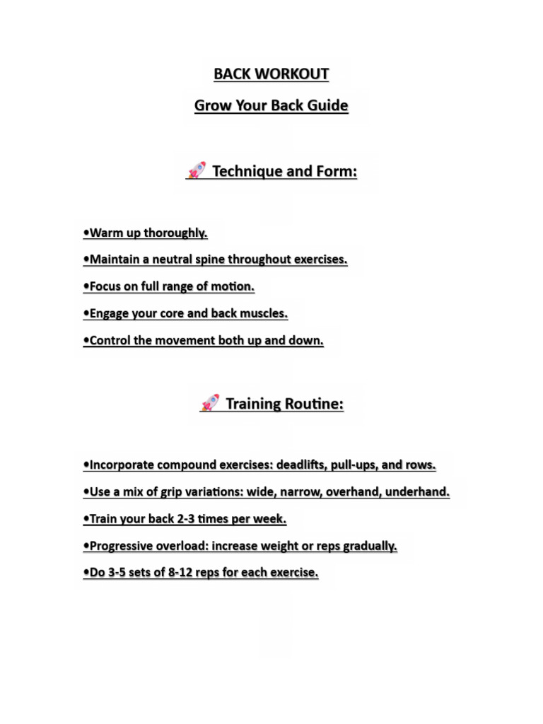 Back Workout | PDF