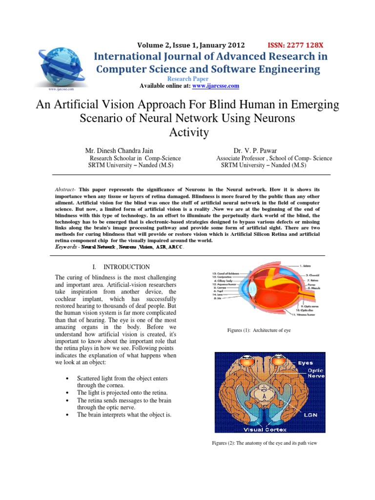 V2I1048 | PDF | Retina | Visual Perception