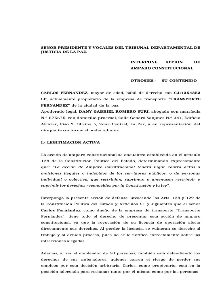 Accion de Amparo Constitucional Caso Carlos Fernandez Derecho | PDF ...