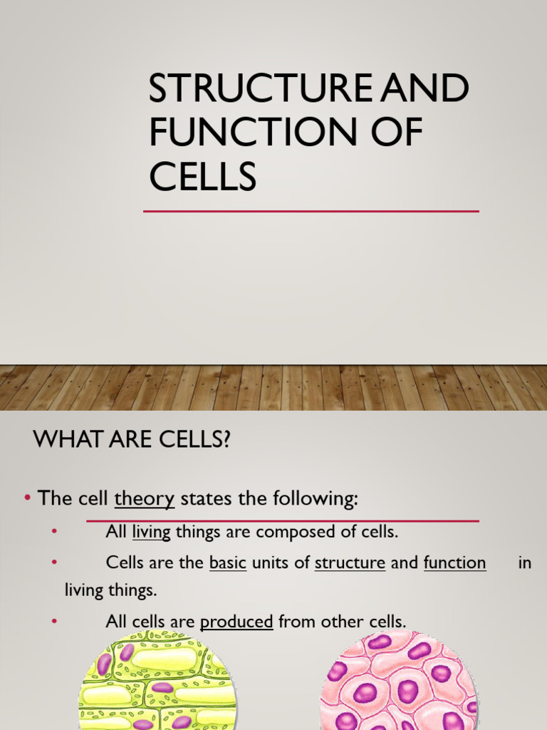 Cell Structure and Function Overview | PDF | Cell (Biology ...