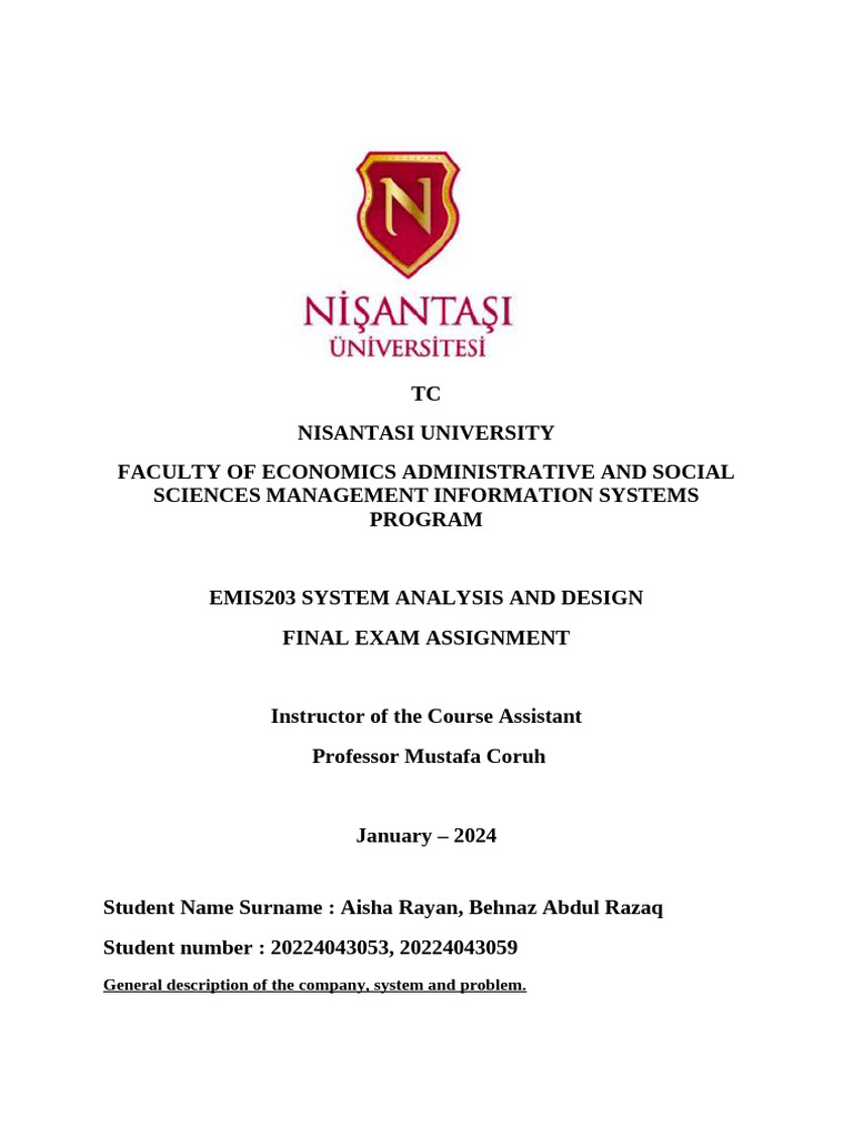 System Analysis and Design | PDF | Employment | Databases