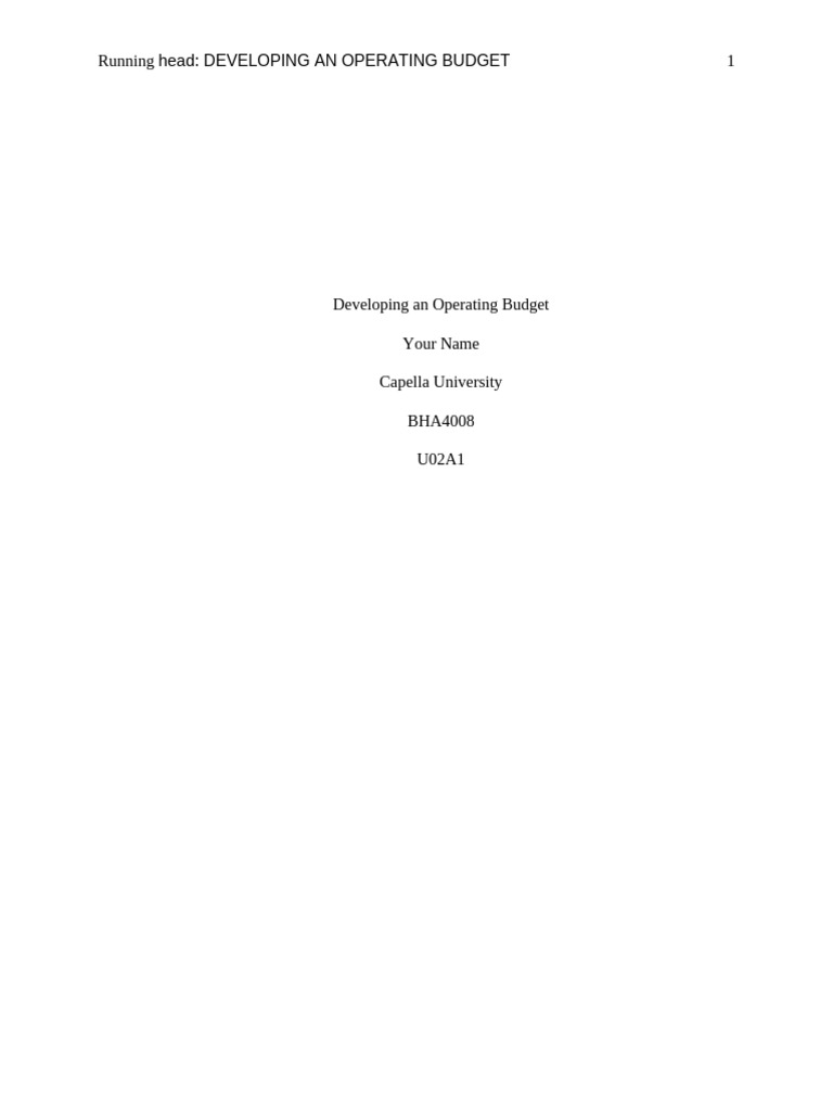 Developing and Operating Budget Assigment Template | PDF | Digital ...