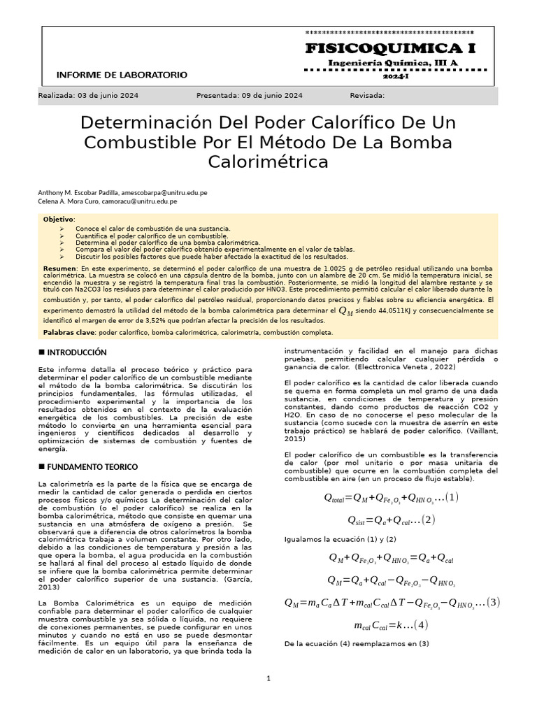 Informme Bomba Calorimetrica | PDF | Calor | Combustión