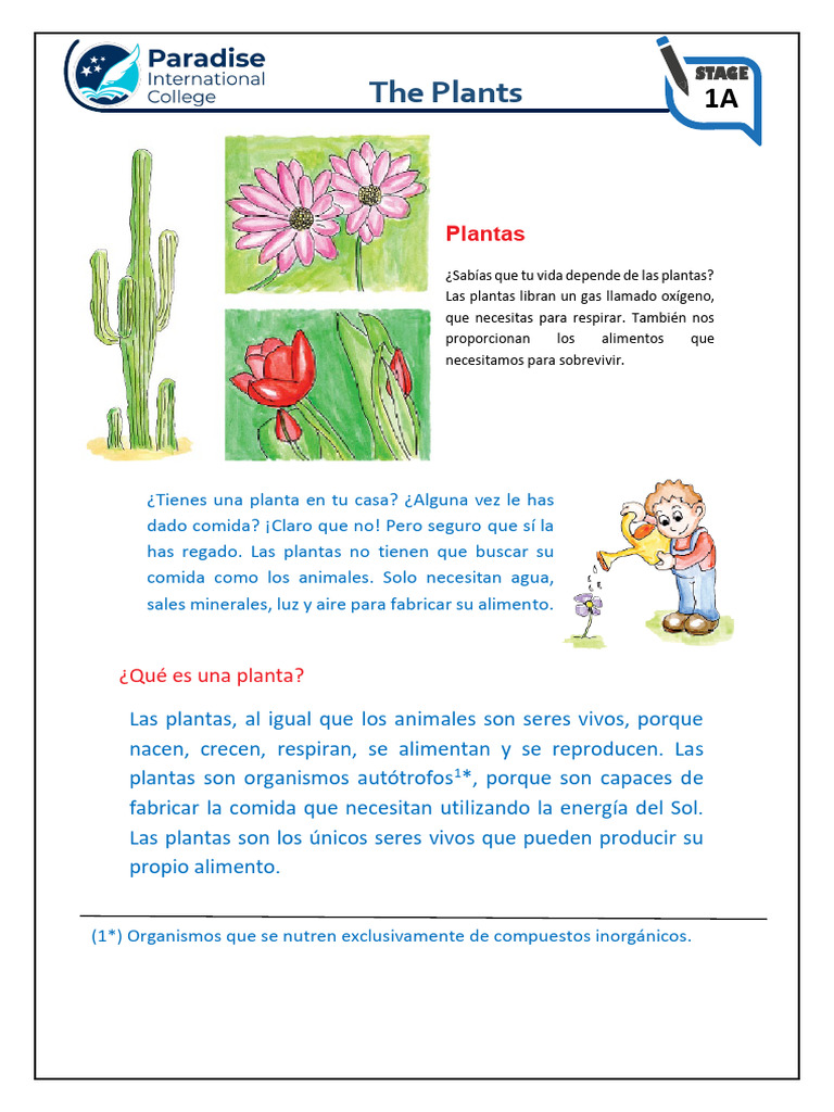 The Plants 1a | PDF