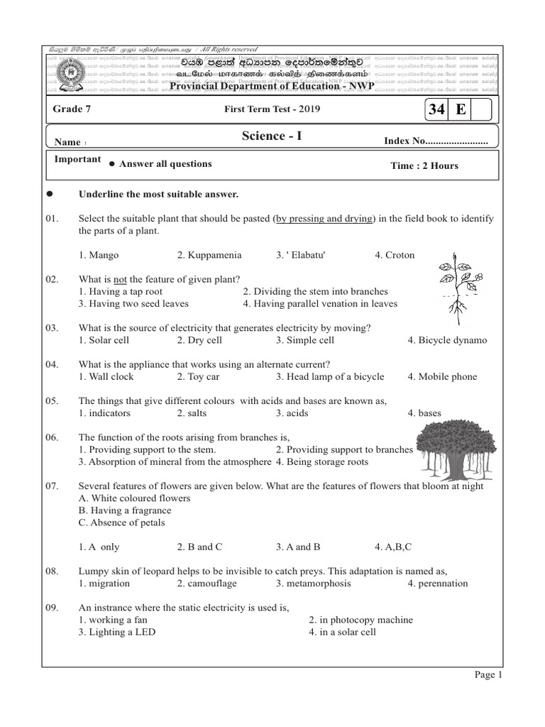 Grade 7 Science First Term Test 2019 | PDF