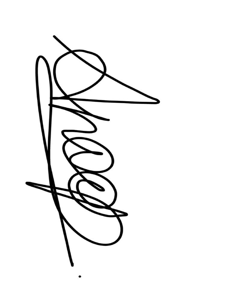 Sign Signature 20241029233032 | PDF