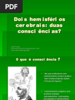 Dois Hemisférios Duas Consciências