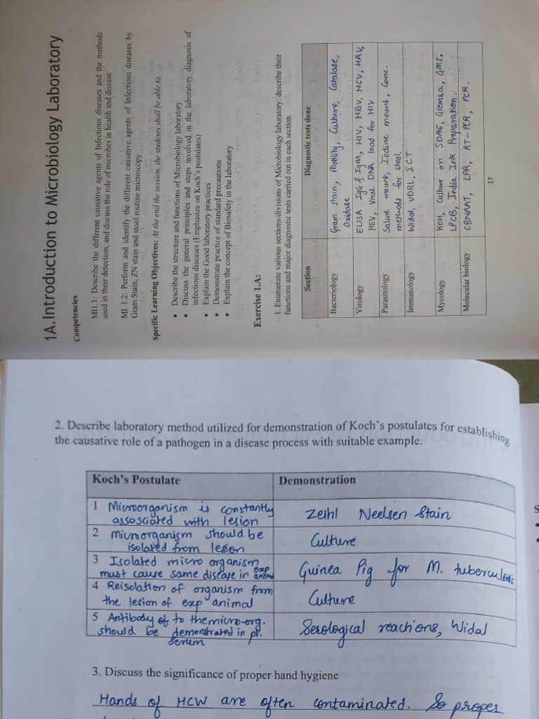 Micro Journal | PDF