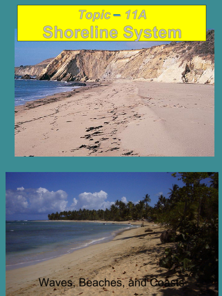 Understanding Waves and Coastal Dynamics | PDF | Beach | Coast