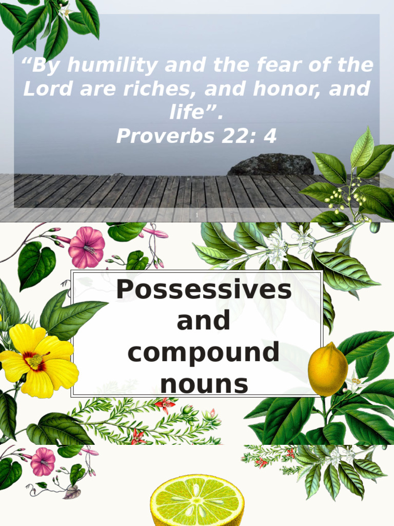 Understanding Possessives and Compound Nouns | PDF | Noun | Adjective