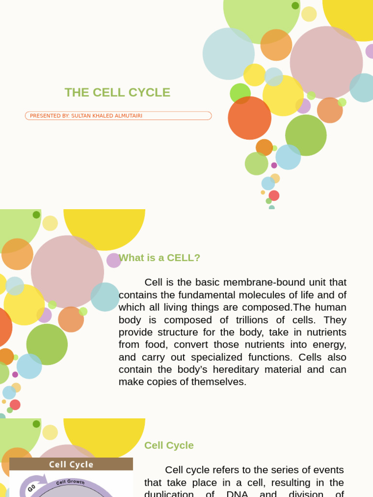 Understanding the Cell Cycle Stages | PDF | Mitosis | Cell Cycle