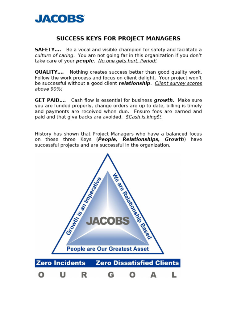 Project Manager Success Guide | PDF