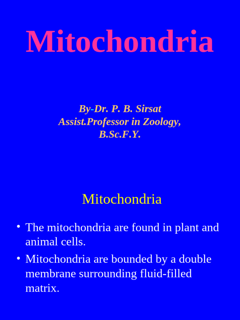 Mitochondria of Plant Cell | PDF | Mitochondrion | Cell (Biology)