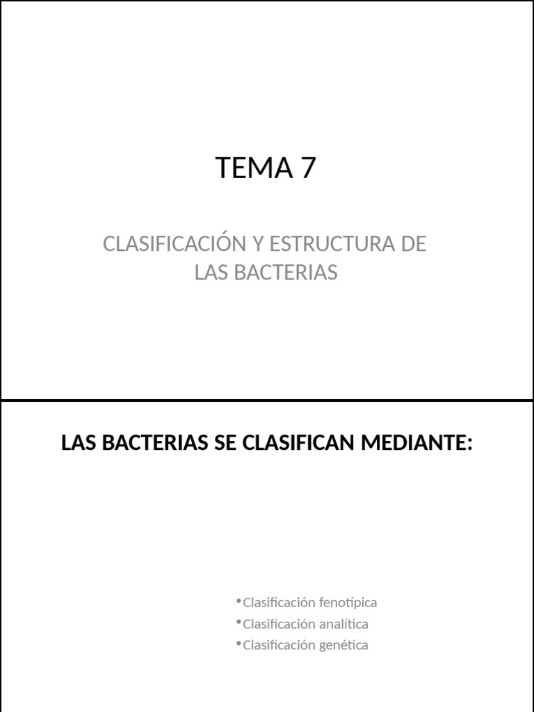 Clasificación de Bacterias y Estructura | PDF | Las bacterias ...