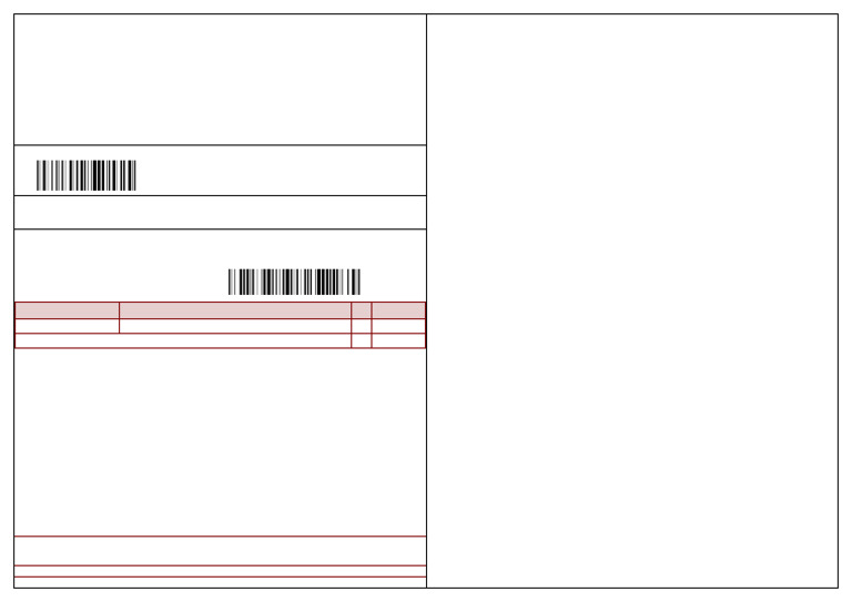 Shipping Label for Pareek Night Wear | PDF