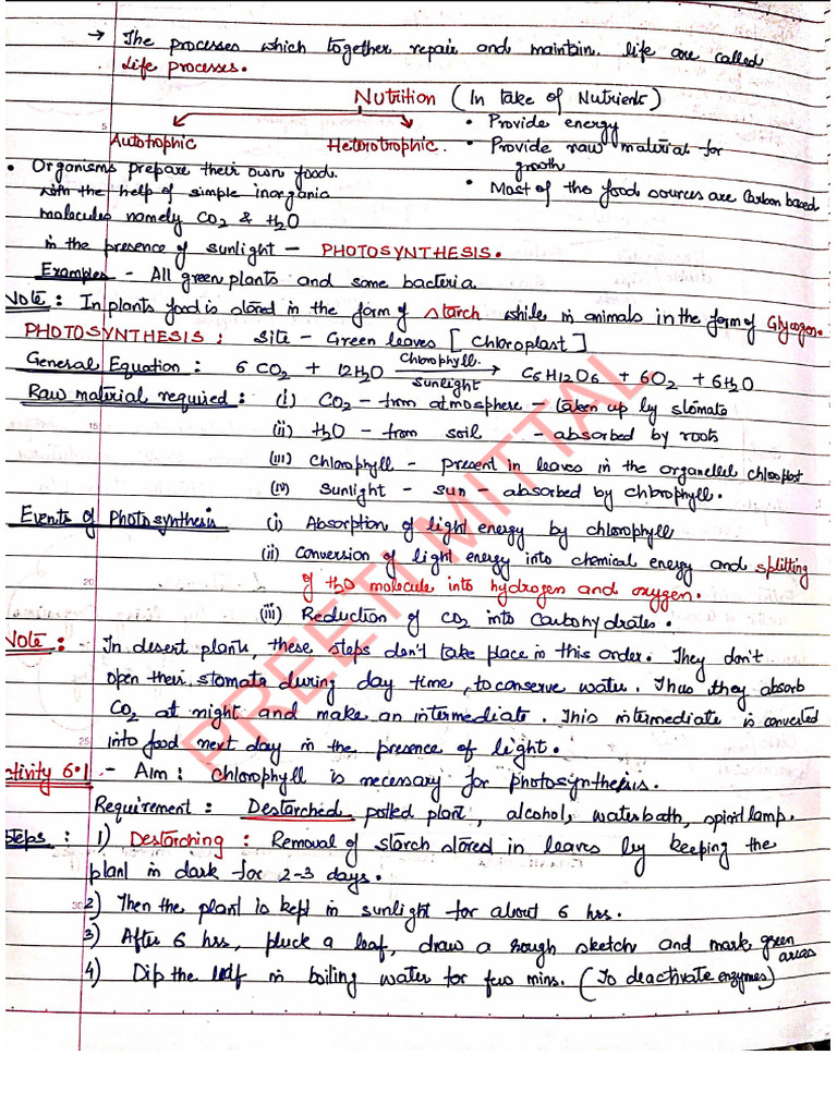 Notes of Life Processes | PDF