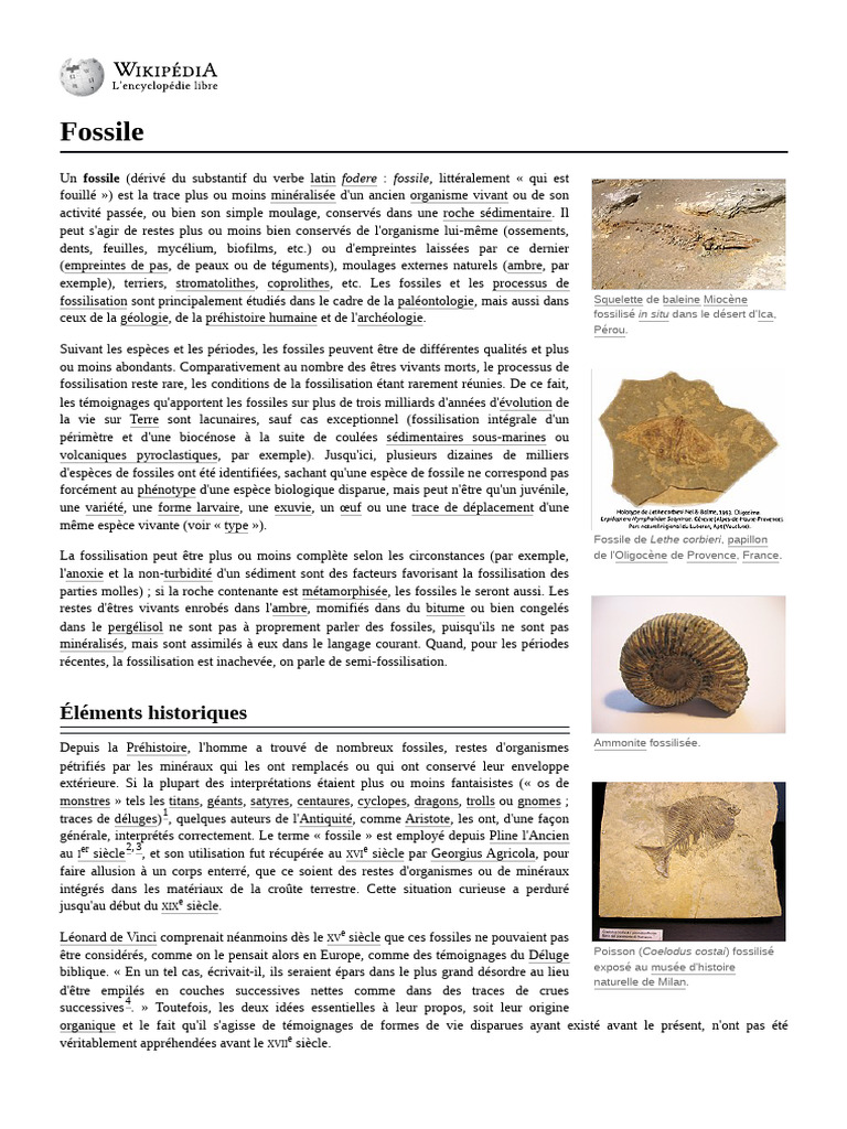 Types et définitions de fossiles | PDF | Fossile