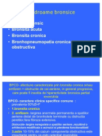 Bronhopneumopatia Cronica Obstructiva -Curs