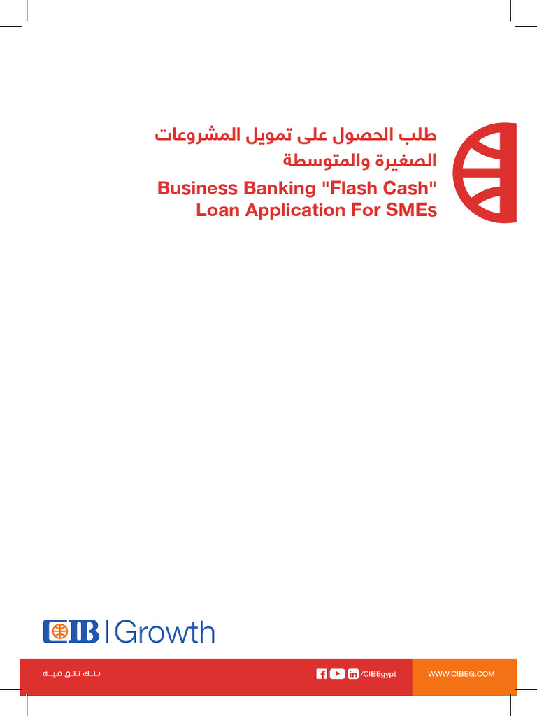 Flash Cash Application Growth | PDF