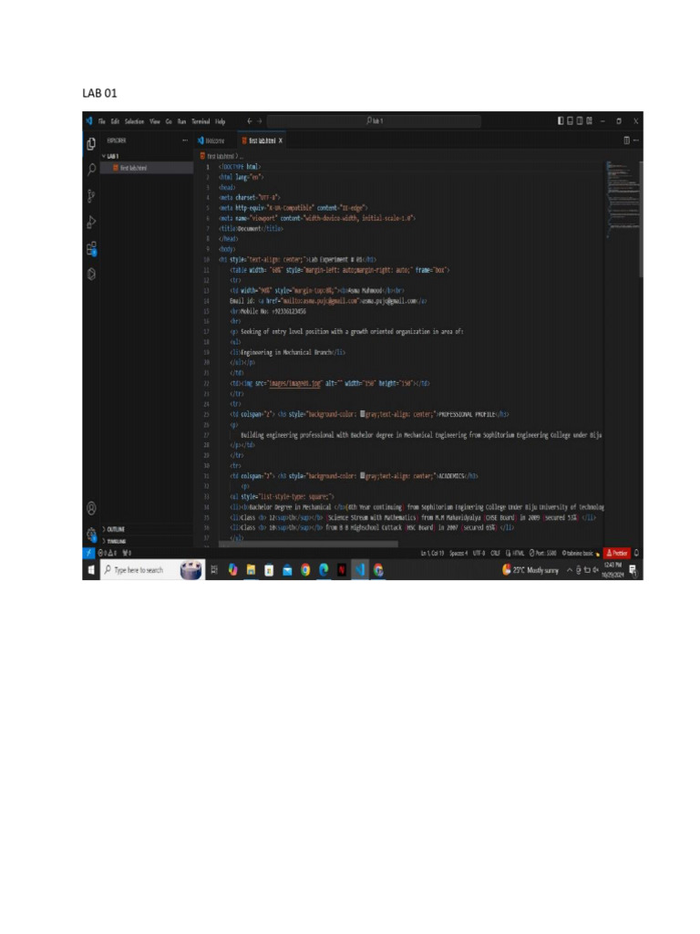 Lab and Task Overview Document | PDF