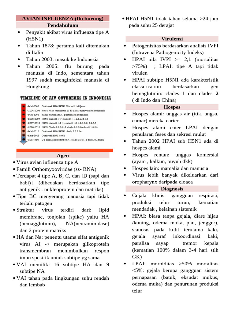 AI by Borabora | PDF