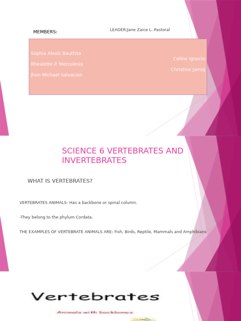 Vertebrates vs. Invertebrates Overview | PDF