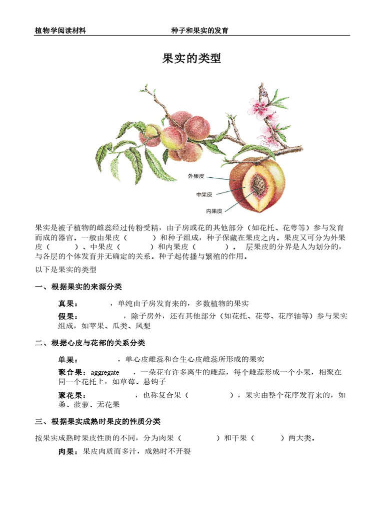 Seed and Fruit Development种子和果实的发育 | PDF