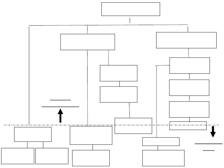 Diagram Shipboard Ranks | PDF