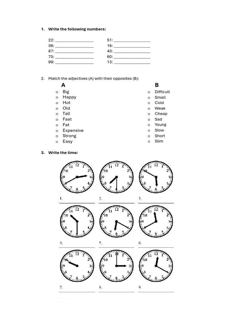 Numbers and Adjectives Worksheet | PDF