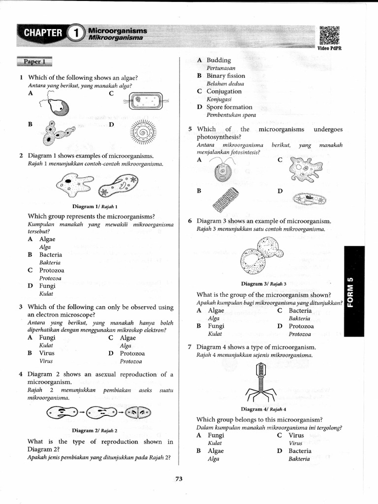 Microorganisms for Year 6 Science | PDF | Microorganism | Protozoa