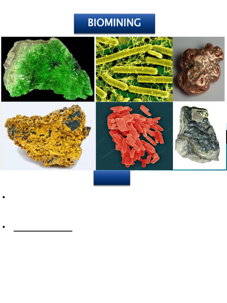 Lec 3 Biomining | PDF | Mining | Nature