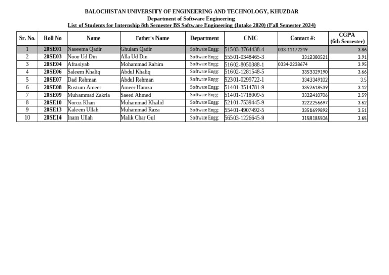 Internship List for BS Software Engineering | PDF