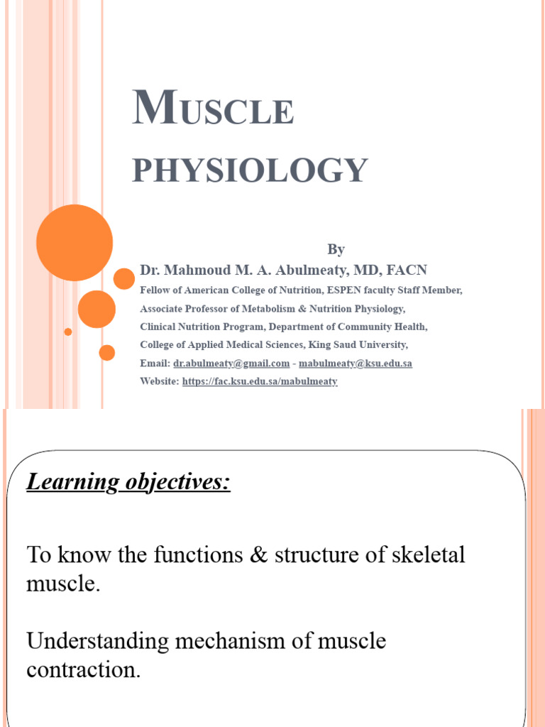 Muscle | PDF | Muscle Contraction | Neuromuscular Junction