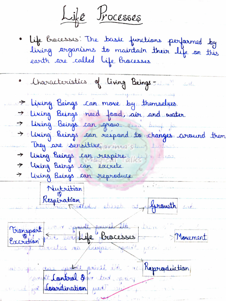 NOTES Life Processes | PDF | Digestive System