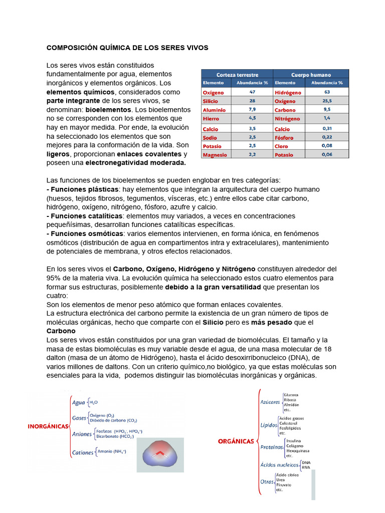 Composición Química de los Seres Vivos | PDF | Solución tampón ...