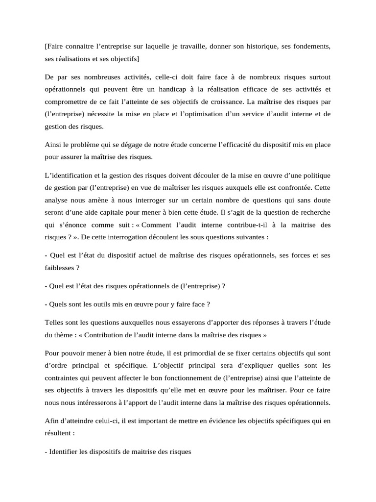 Audit interne et maîtrise des risques | PDF | Risque opérationnel | Risque