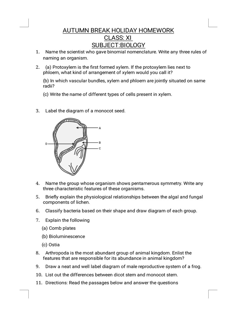 Xi Autumn Break Holiday Homework Biology | PDF | Cell Membrane | Lipid