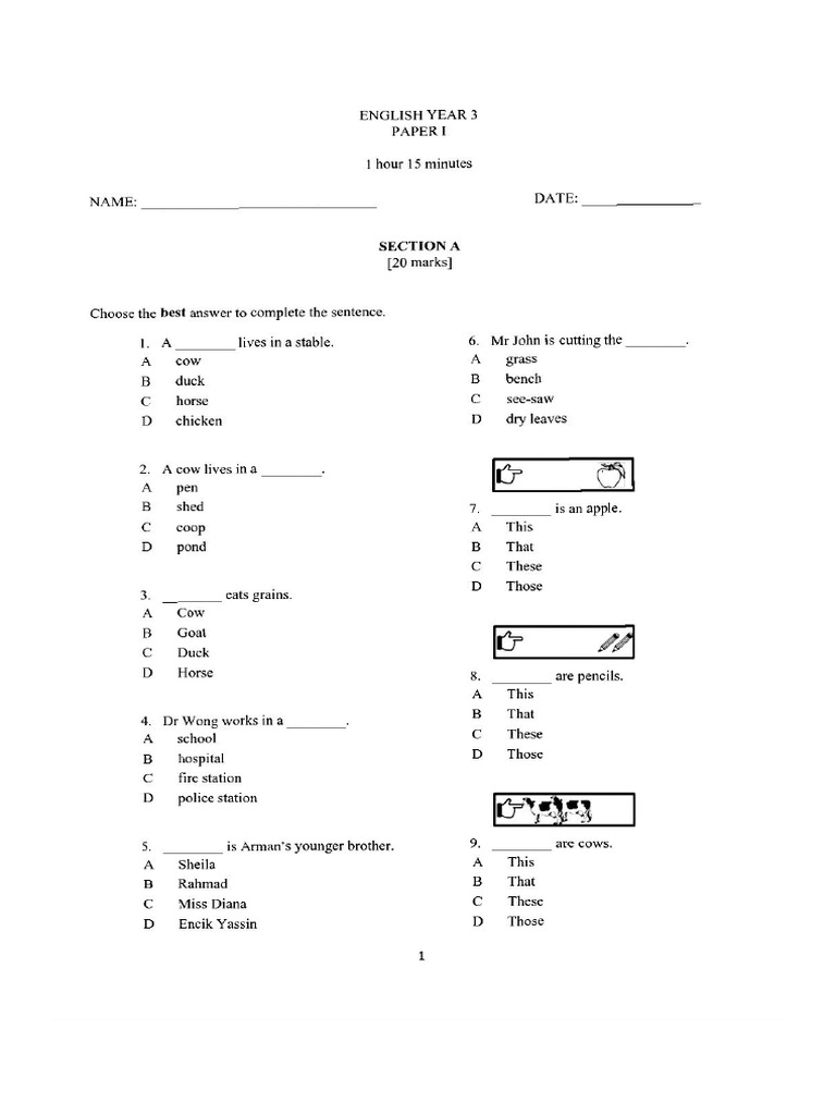 Exam Bi Paper 1 Y3 | PDF