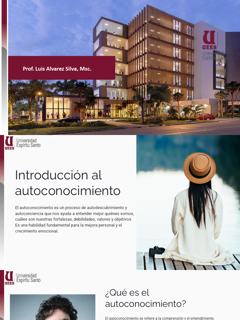 Autoconocimiento Pdf Las Emociones Autoestima