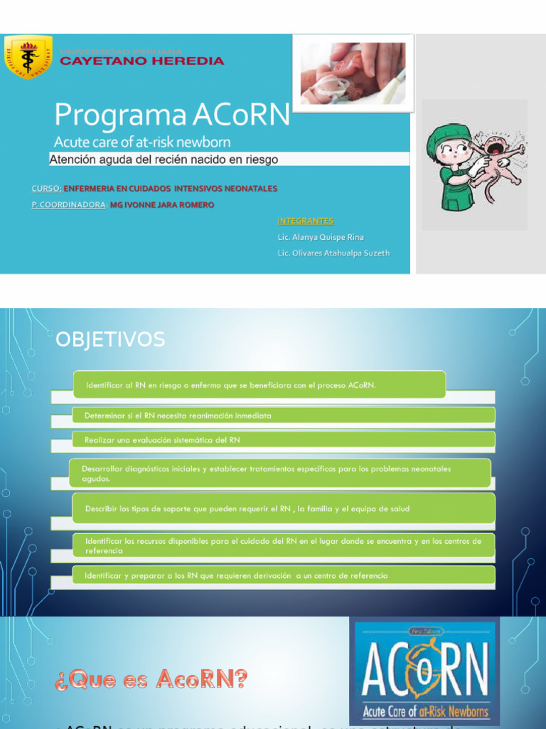 Manual Acorn | PDF | Evaluación | Infantes