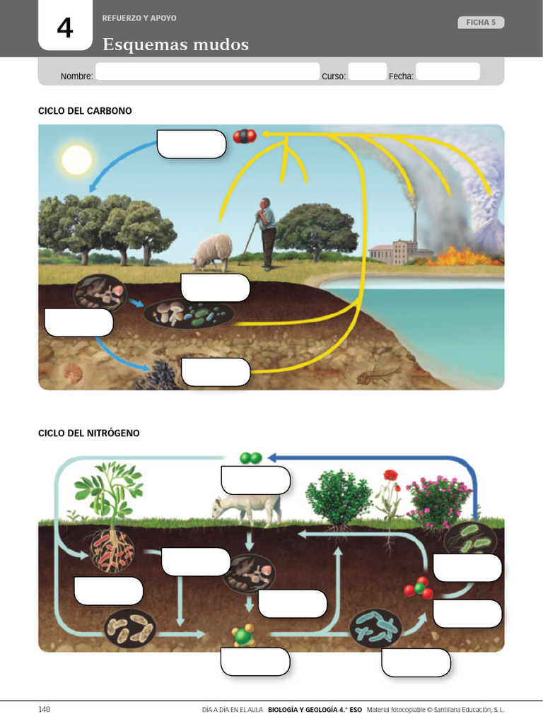 Refuerzo 5 | PDF