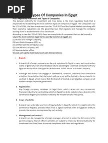 Types of Companies in Egypt