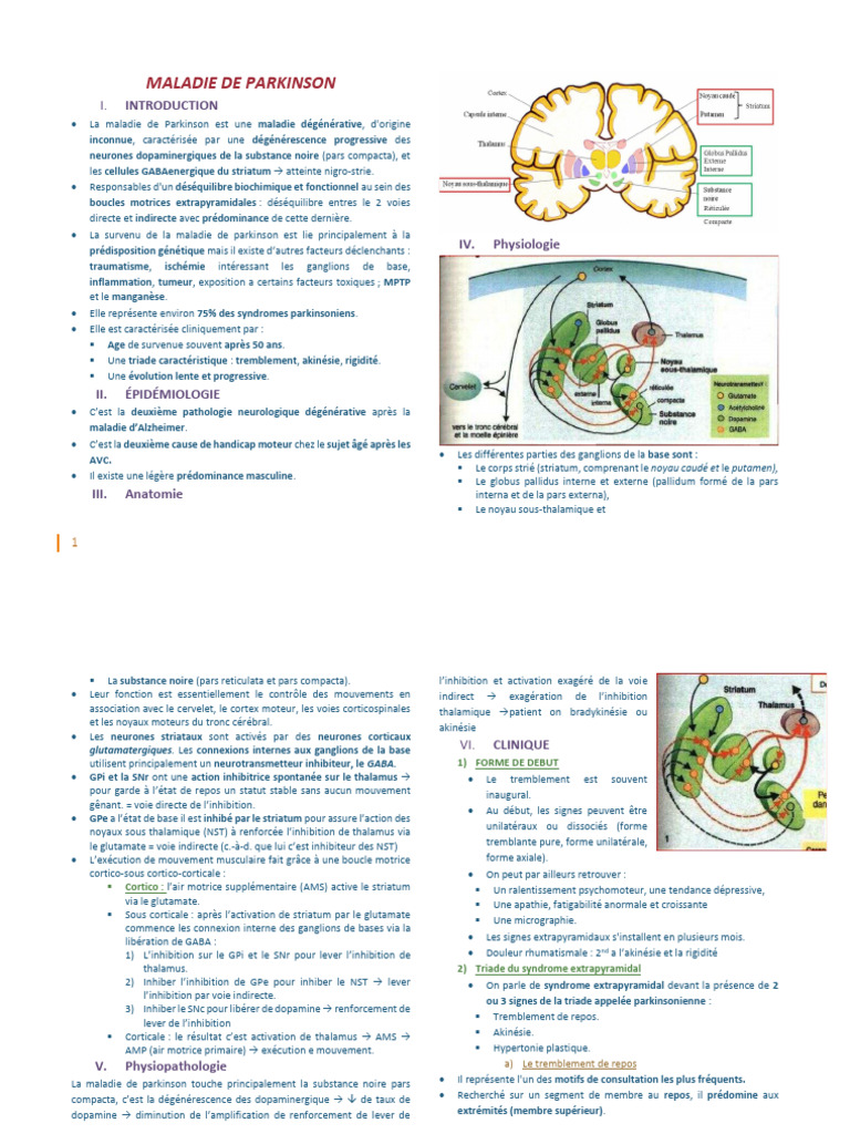 Comprendre la maladie de Parkinson | PDF | Maladie de Parkinson ...