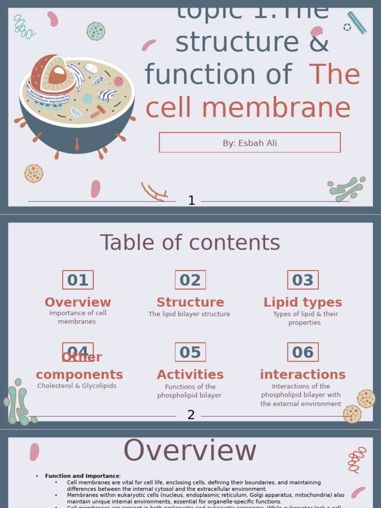 Cell Membrane Structure and Functions | PDF | Cell Membrane | Lipid